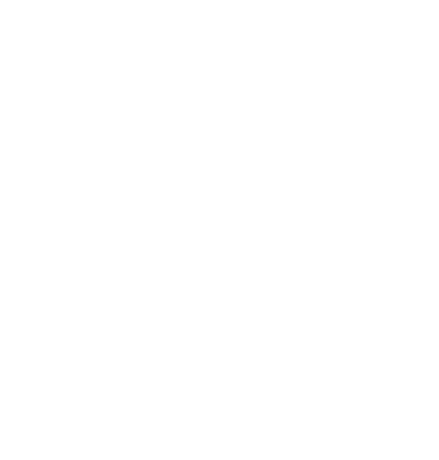 diversity-icon